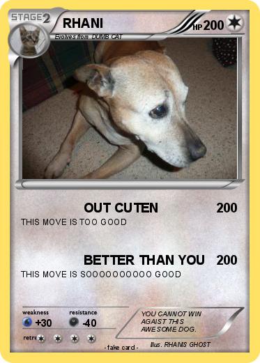 Pokemon RHANI