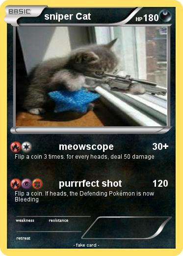 Pokemon sniper Cat
