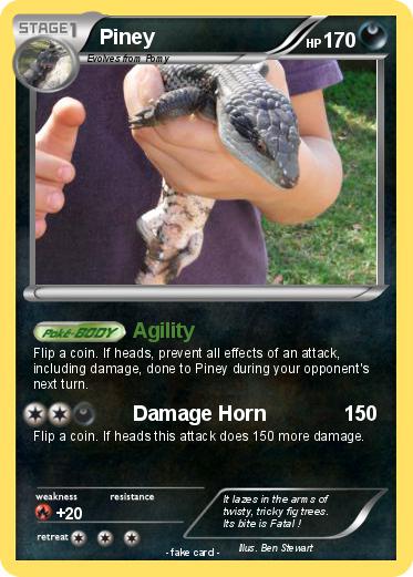 Pokemon Piney
