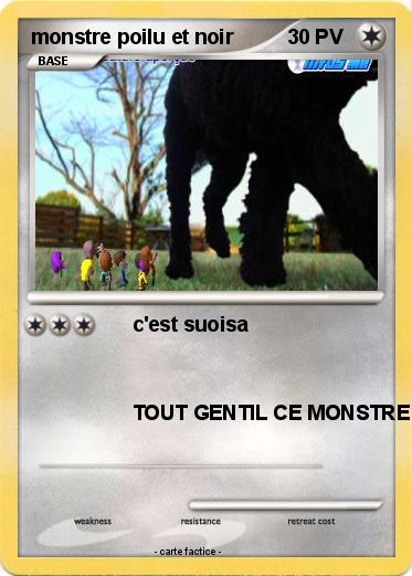 Pokemon monstre poilu et noir