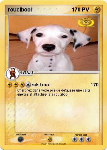 Pokemon roucibool                           1