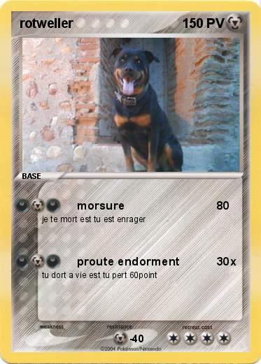 Pokemon rotweller