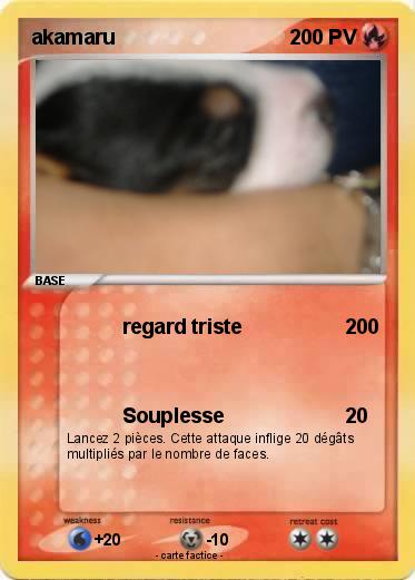 Pokemon akamaru