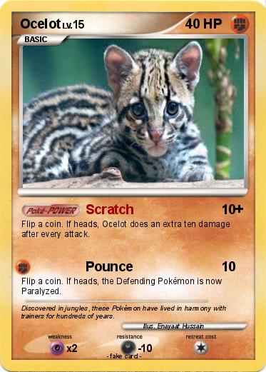 Pokemon Ocelot