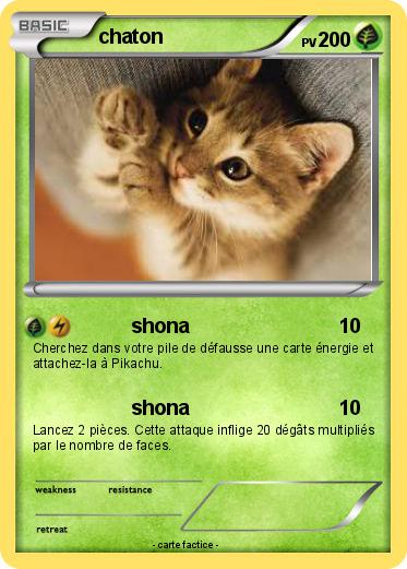 Pokemon chaton