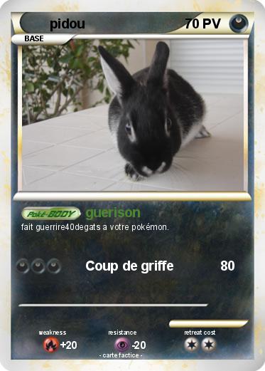 Pokemon pidou