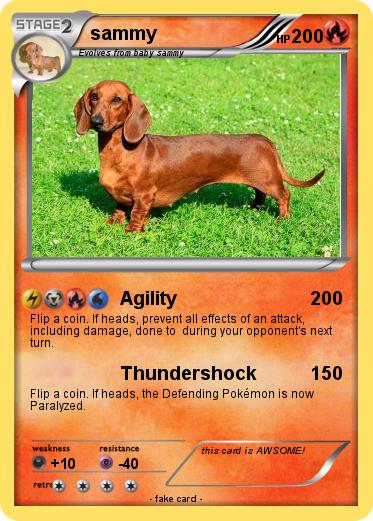 Pokemon sammy
