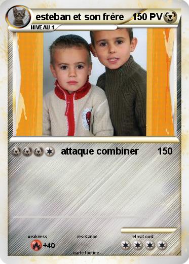 Pokemon esteban et son frère