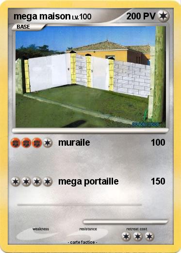 Pokemon mega maison