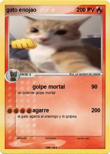 Pokemon gato enojao