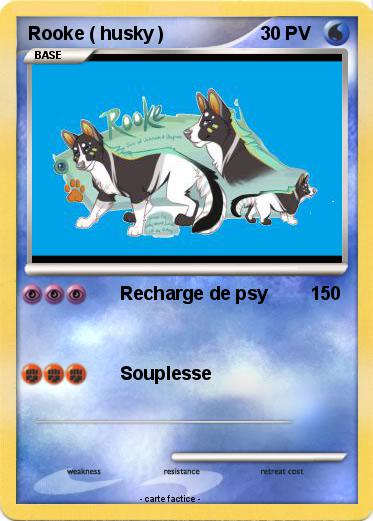 Pokemon Rooke ( husky )