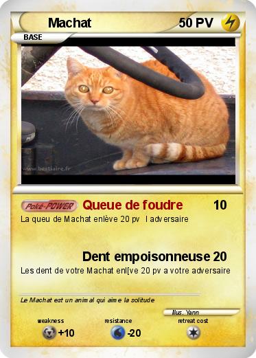 Pokemon Machat