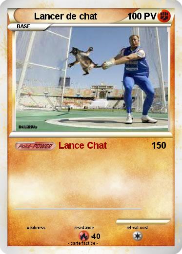 Pokemon Lancer de chat