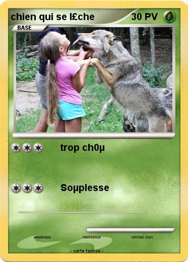 Pokemon chien qui se l£che