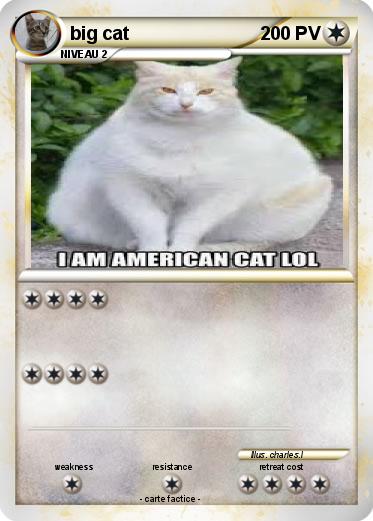 Pokemon big cat