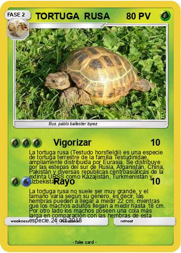 Pokemon TORTUGA  RUSA