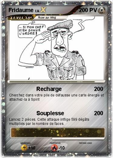 Pokemon Fridaume