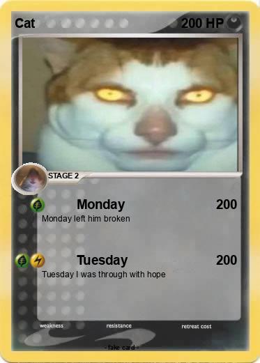 Pokemon Cat