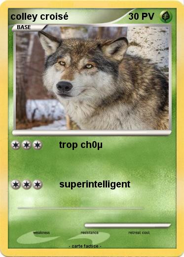 Pokemon colley croisé