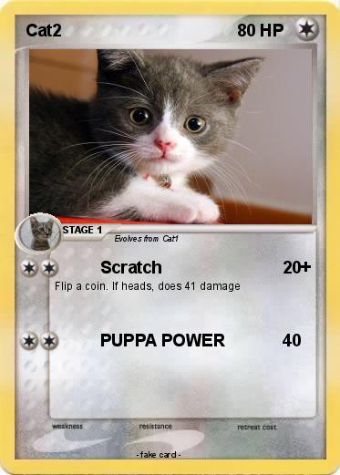 Pokemon Cat2