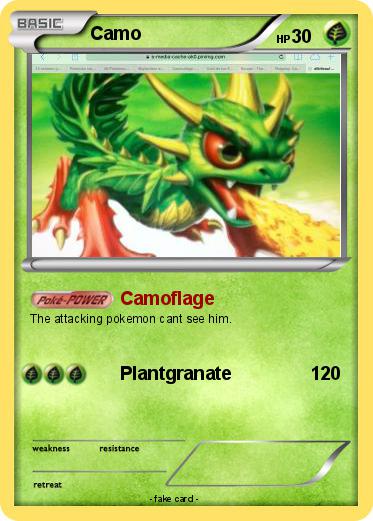 Pokemon Camo