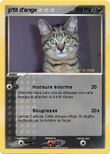 Pokemon p'tit d'ange