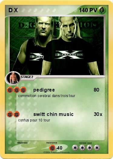 Pokemon D X