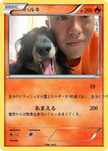 Pokemon ハルキ