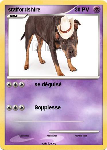 Pokemon staffordshire