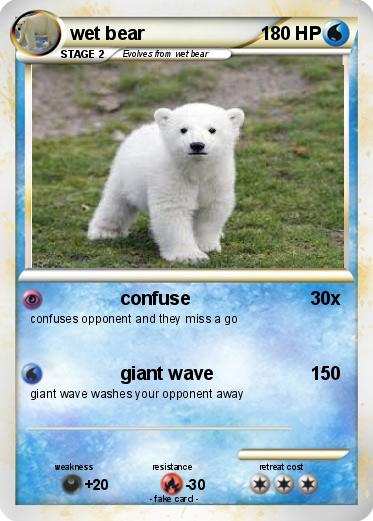 Pokemon wet bear