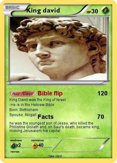 Pokemon King david