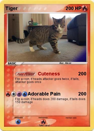 Pokemon Tiger