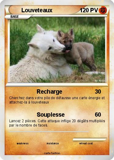 Pokemon Louveteaux