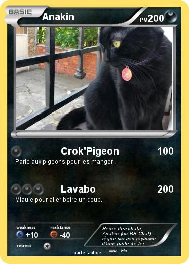 Pokemon Anakin