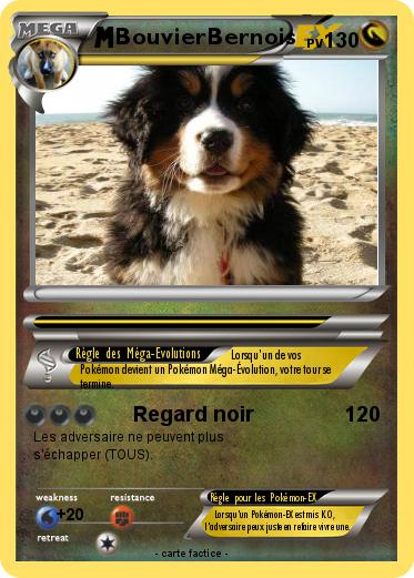 Pokemon BouvierBernois