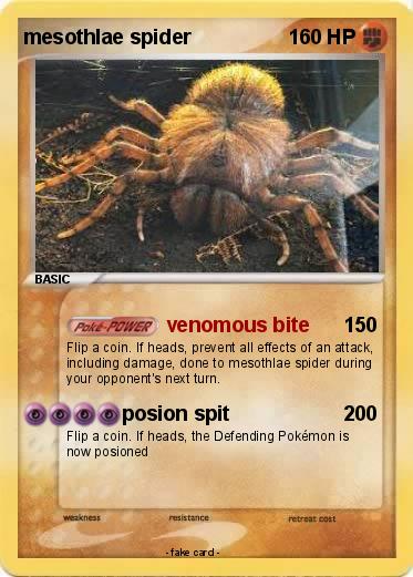 Pokemon mesothlae spider