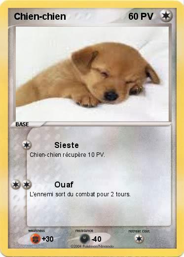 Pokemon Chien-chien