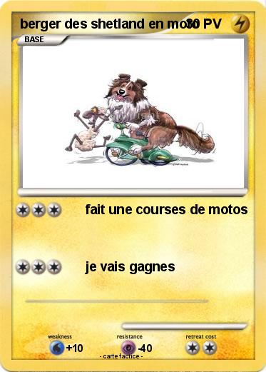 Pokemon berger des shetland en moto