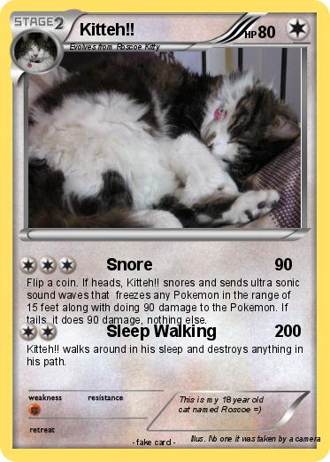 Pokemon Kitteh!!