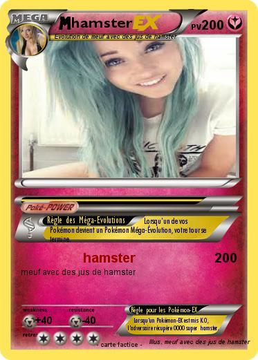 Pokemon hamster
