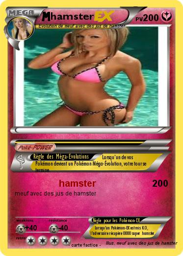 Pokemon hamster