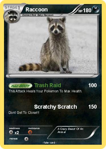 Pokemon Raccoon