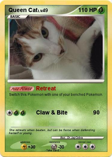 Pokemon Queen Cat