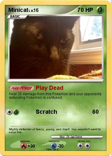 Pokemon Minicat