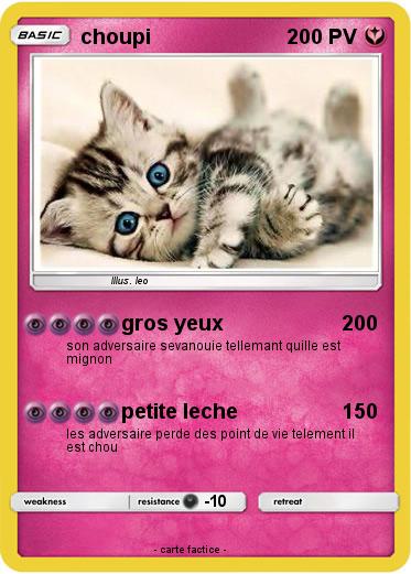 Pokemon choupi
