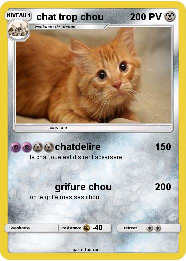 Pokemon chat trop chou