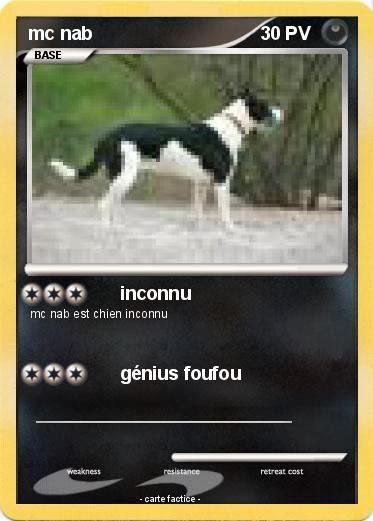 Pokemon mc nab