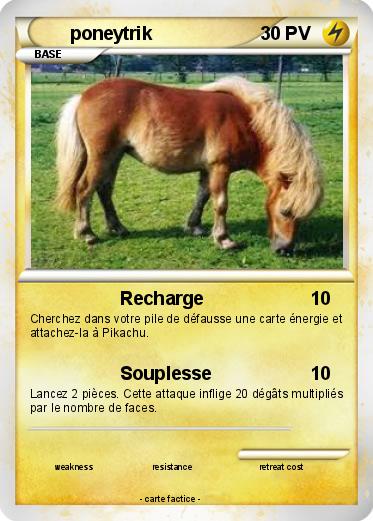 Pokemon poneytrik