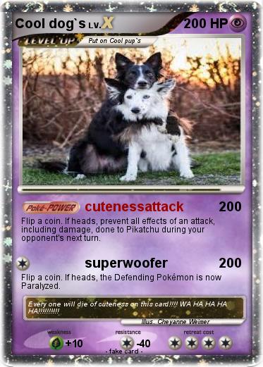 Pokemon Cool dog`s