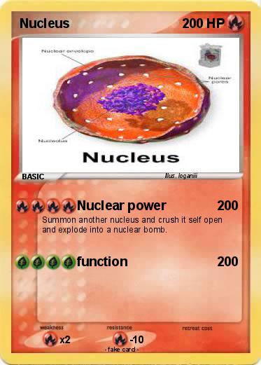 Pokemon Nucleus